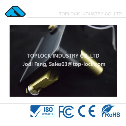 Electric Lock Gate 12V Electronic Rim Lock for Left Open Door