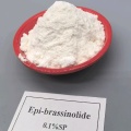 สารควบคุมการเจริญเติบโตของพืช Epi-brassinolide 0.1% SP