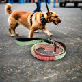 Lightweight Dog Harness Custom Logo Breathable