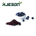 High Quality Blueberry Extract