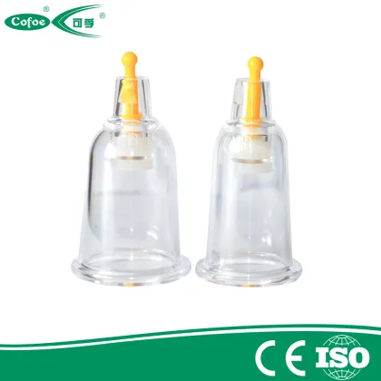 Chinese Therapy Equipment Household Vacuum Cupping