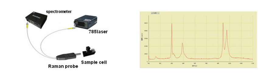 Raman spectrum