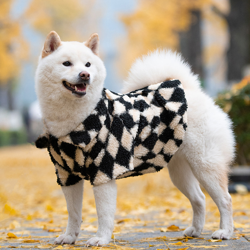Two Feet Warm Fleece Smile Pattern Dog Coat