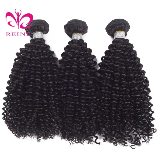REINE Grade 8a virgin mongolian hair,100% 4c mongolian afro kinky curly human hair weave,afro virgin mongolian kinky curly hair