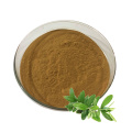 olive leaf extract olive leaf extract powder