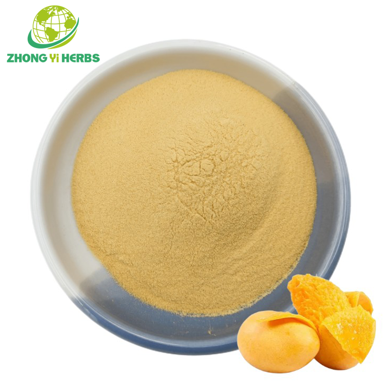 Organic Mango Juice Powder
