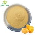 Mango Juice Powder