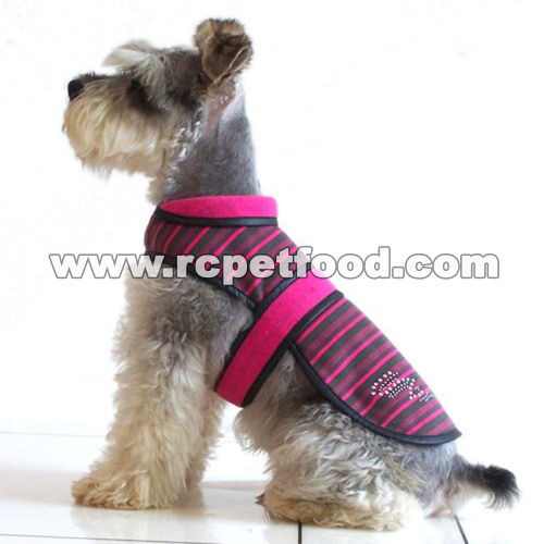Fluorescence Fabric Dog Coat For Summer Air-Mesh Dog