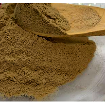 Premium Botanical Extract for Wellness Support Euryale Ferox Seed Extract Powder