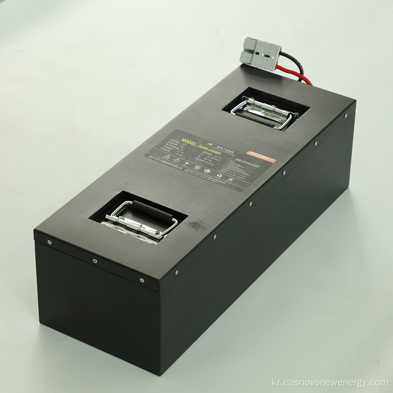 51V50AH Li- 이온 리튬 LifePo4 전기 스쿠터 배터리