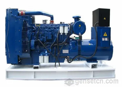 Perkins Diesel Generator Set
