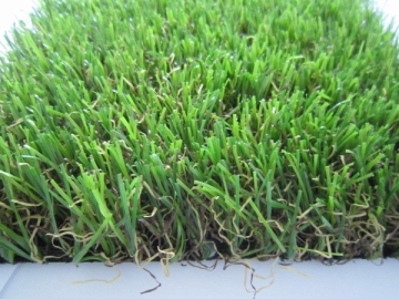 Hackyard Grass for Landscape Lawn