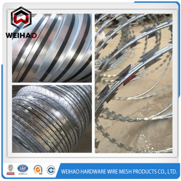 concertina stainless barbed wire
