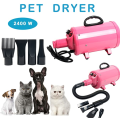 Sèche-cheveux pour animaux de compagnie de chien portables 2400W