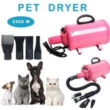 Portable Dog Cat Pet Grooming Dryer 2400w