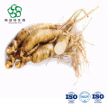 80% Ginseng Saponin Powder Extracto de extracto de raíz de ginseng en polvo