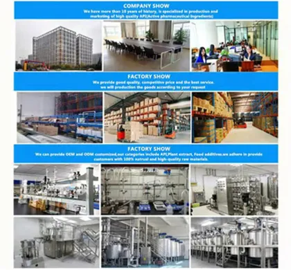 Nutra Hot Sell Chondroitin Sulfate Sodium