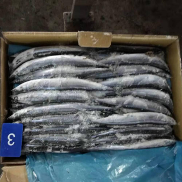 แปซิฟิก Saury Cololabis Saira แช่แข็งทั้งรอบ