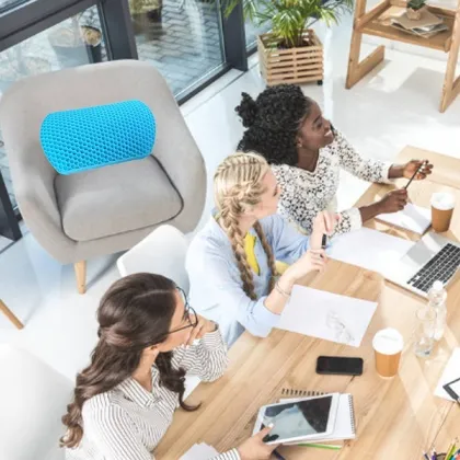 honeycomb Decompression Back Support Cushion