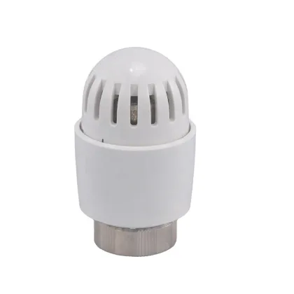 Avonflow Plastic TRV Head Thermostatic Radiator Valve Head" could be shortened to:

"Avonflow Plastic Thermostatic Radiator Valve Head" 

However, for a search engine title, it might be more effective to prioritize keywords:

"Thermostatic Radiator Valve 