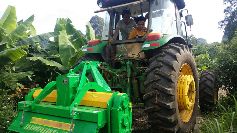 banana crop mulching