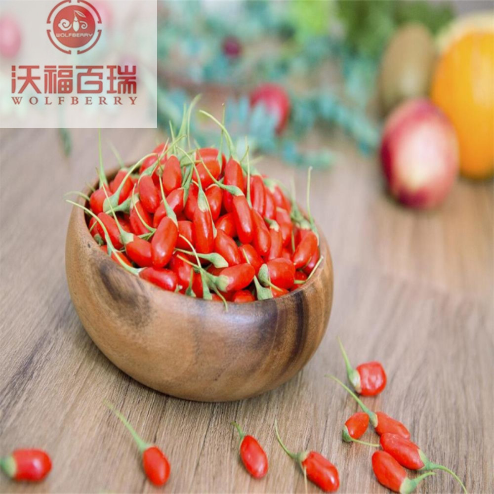 Goji berry / Wolfberry / baies de goji de haute nutrition