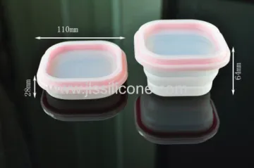 Fashionable Food Grade Silicone Fresh Box 