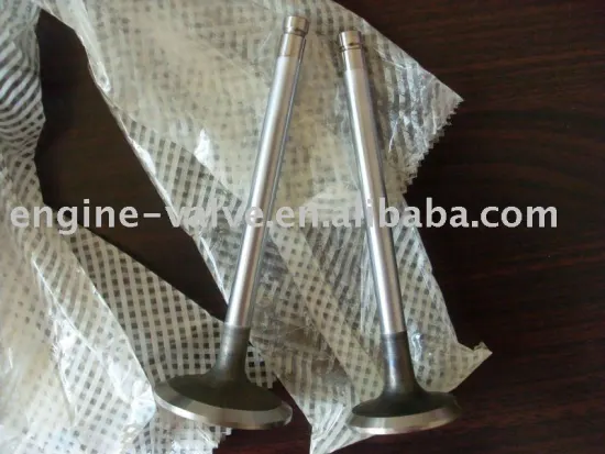 automobile engine valve