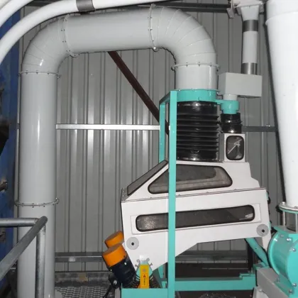 TQSF125A auto rice destoner/ grain destoner machine