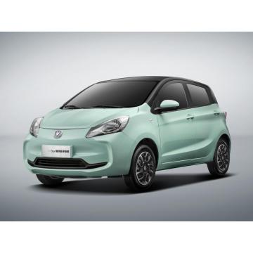 2023 New Designed Chinese brand Fast Electric car EV and small electric car