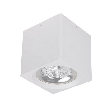 Black Smart Suillight Renlight-Downa powierzchniowa 25W-40W CCT 90 mm-160 mm kwadratowy światło