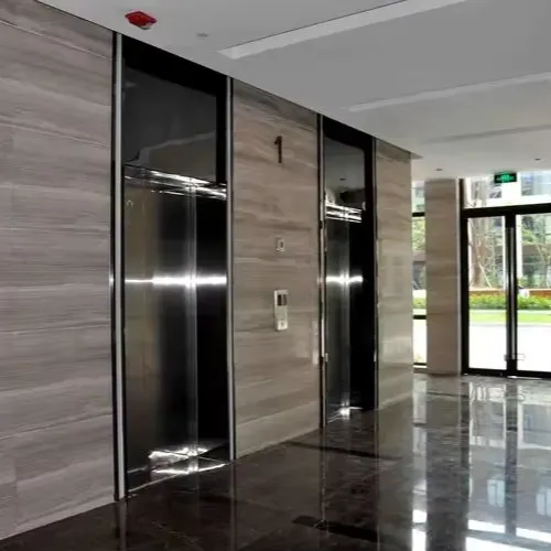 High Quality Residential and Commercial Elevators - Lifts for Villas and Passenger Elevators