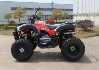 Red Eec Racing 200cc Atv On Mountain Road , One Seat Street Quad Bike