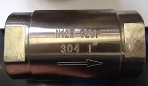 NPT thread vertical Forged spring check valve,F304,320KG