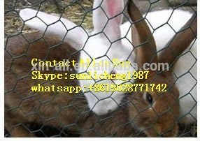 Galvanized Hexagonal wire mesh
