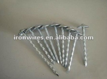 2.5'' x bwg10 Roofing nail