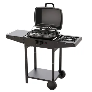 Outdoor 2 Burner Gas Barbecue Grill with Side Burner OPP Level Private Label