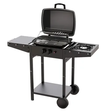 Outdoor 2 Burner Gas Barbecue Grill with Side Burner OPP Level Private Label