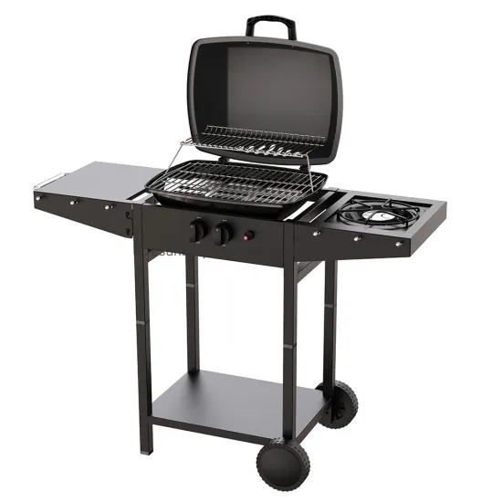 Outdoor 2 Burner Gas Barbecue Grill with Side Burner OPP Level Private Label