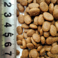 cibo per cani scelta naturale Prodotto per cani Senza cereali