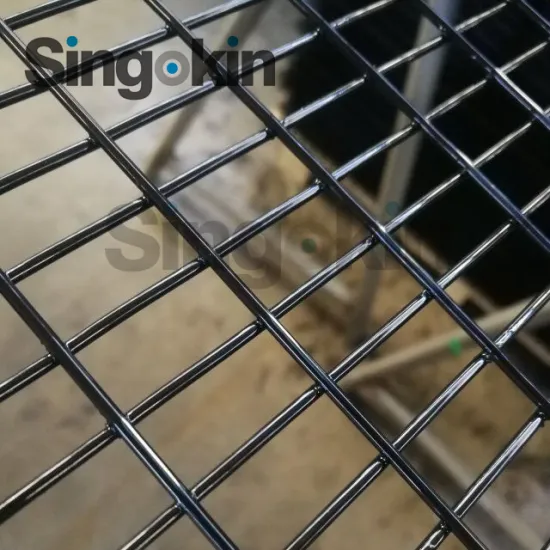 PVC Coated 12 Gauge Black 1/4 Inch Welded Wire Mesh