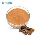 Reishi Mushroom Extract Polysaccharides 35% UV