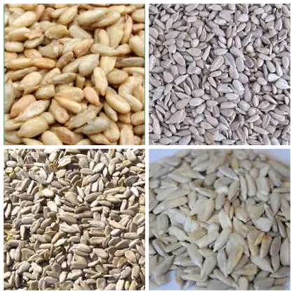 sunflower kernels chinese sunflower kernels oil BakeryType sunflower kernels