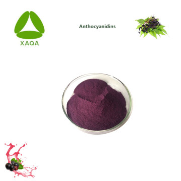 Freeze Dried Elderberry Black Elderberry Extract Powder