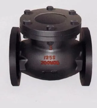 Cast Iron Check  Valve