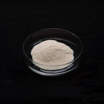 Para papel fotográfico térmico JYDY-1