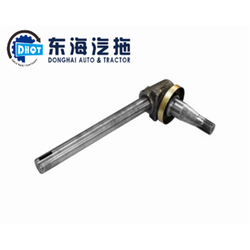 China Spindle 898222M95 Massey Ferguson Supplier