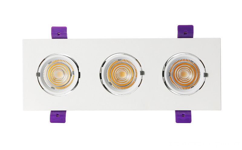 three head led trunk downlight