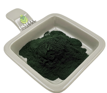 Supply Top Quality Wheatgrass extract