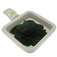 Supply Top Quality Wheatgrass extract